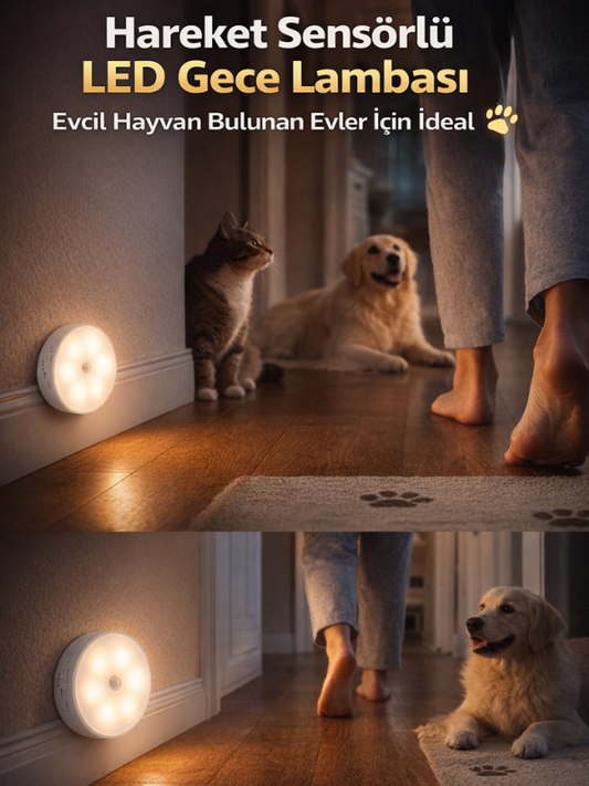 Hareket Sensörlü LED Gece Lambası Kablosuz USB Şarj Edilebilir – Evcil Hayvan Bulunan Evler Için Güvenli Kedi ve Köpek
